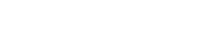 Giganet District logo