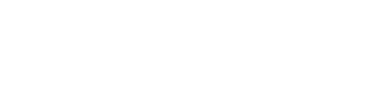 Giganet Local logo