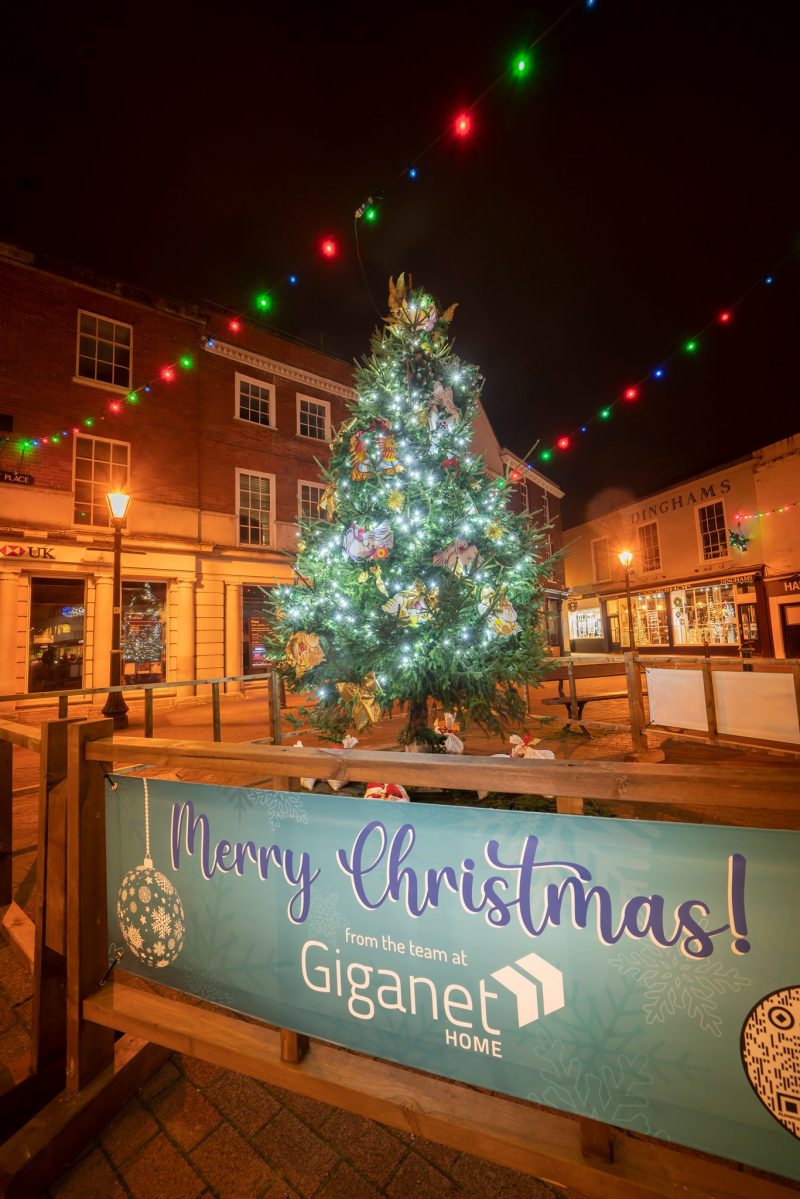 Salisbury Christmas Tree